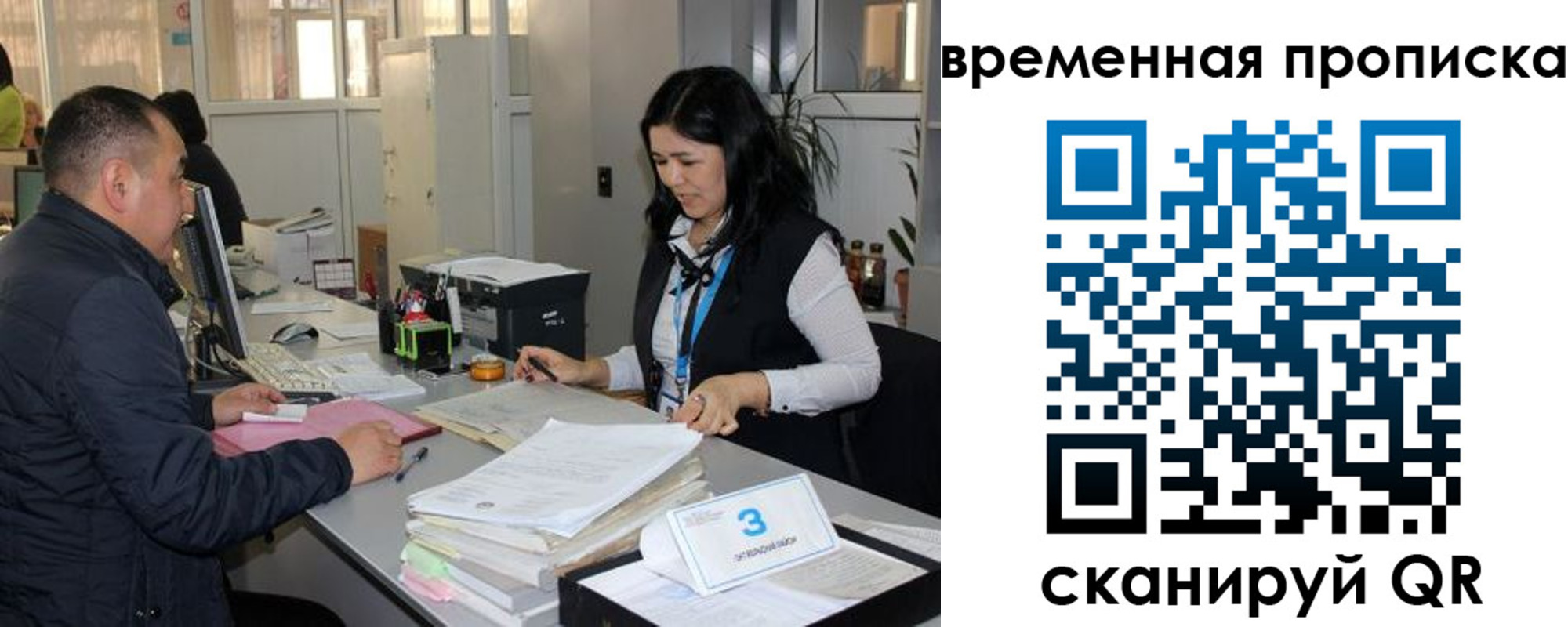 временная регистрация поиск в Лосино-Петровском